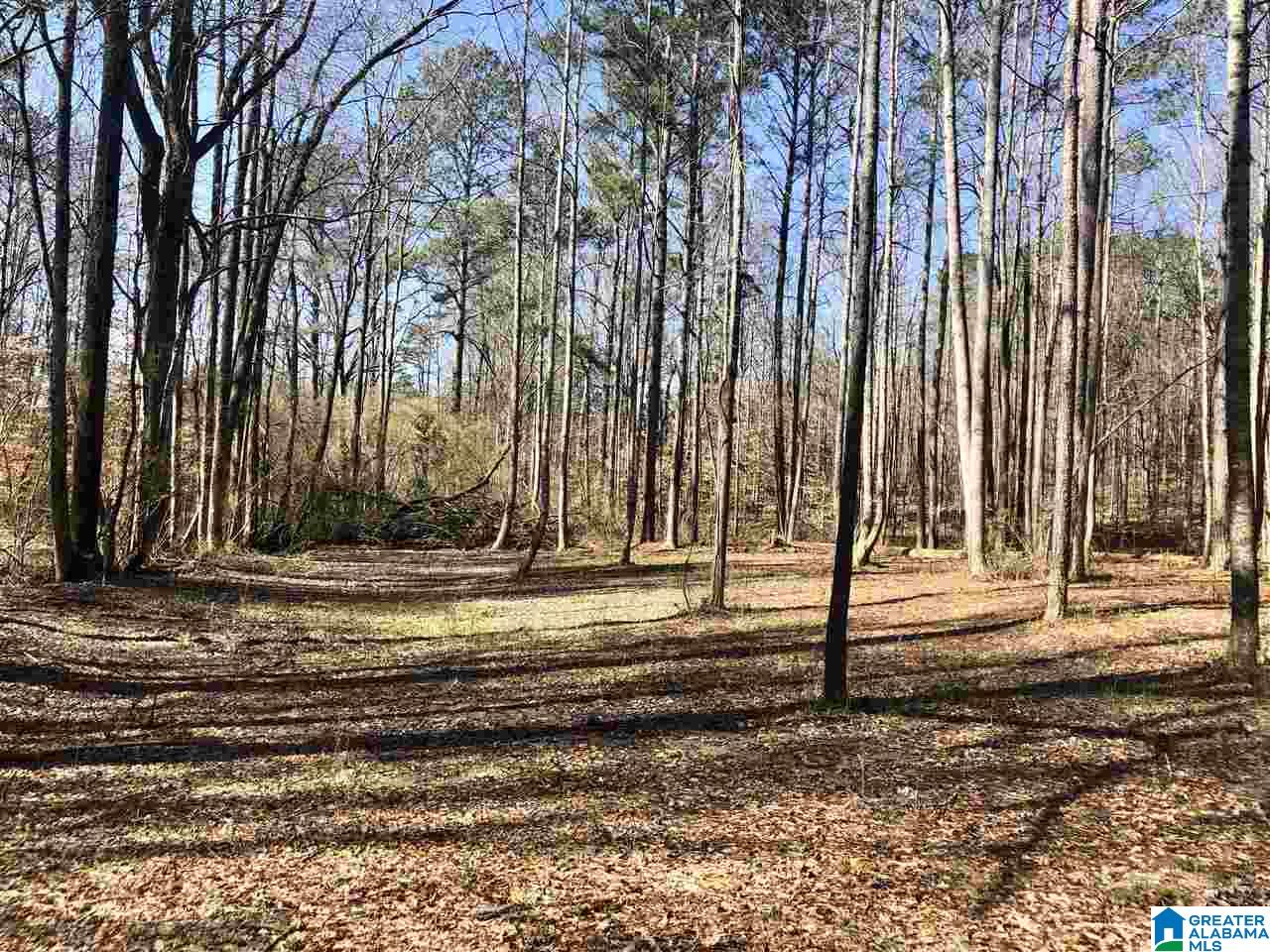 Campbell Street, Unit 1 Heflin, AL 36264 - Photo 1 of 15