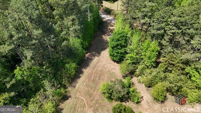 0 Moore Road Elberton, GA 30635 - Photo 29 of 67