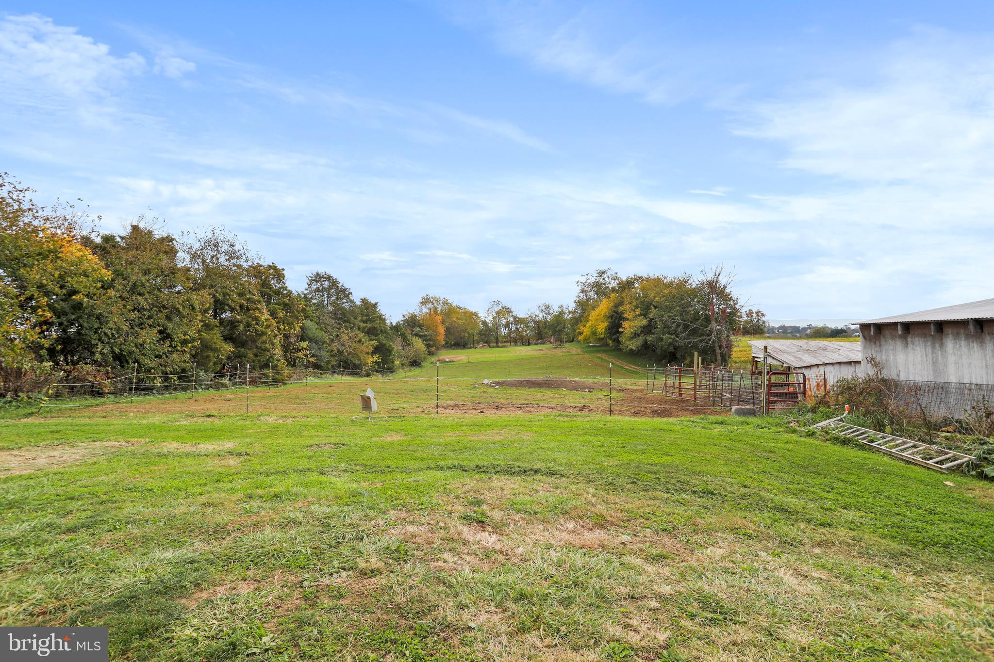 12354 Back Road Toms Brook, VA 22660 - Photo 40 of 58 Gallery Image 40