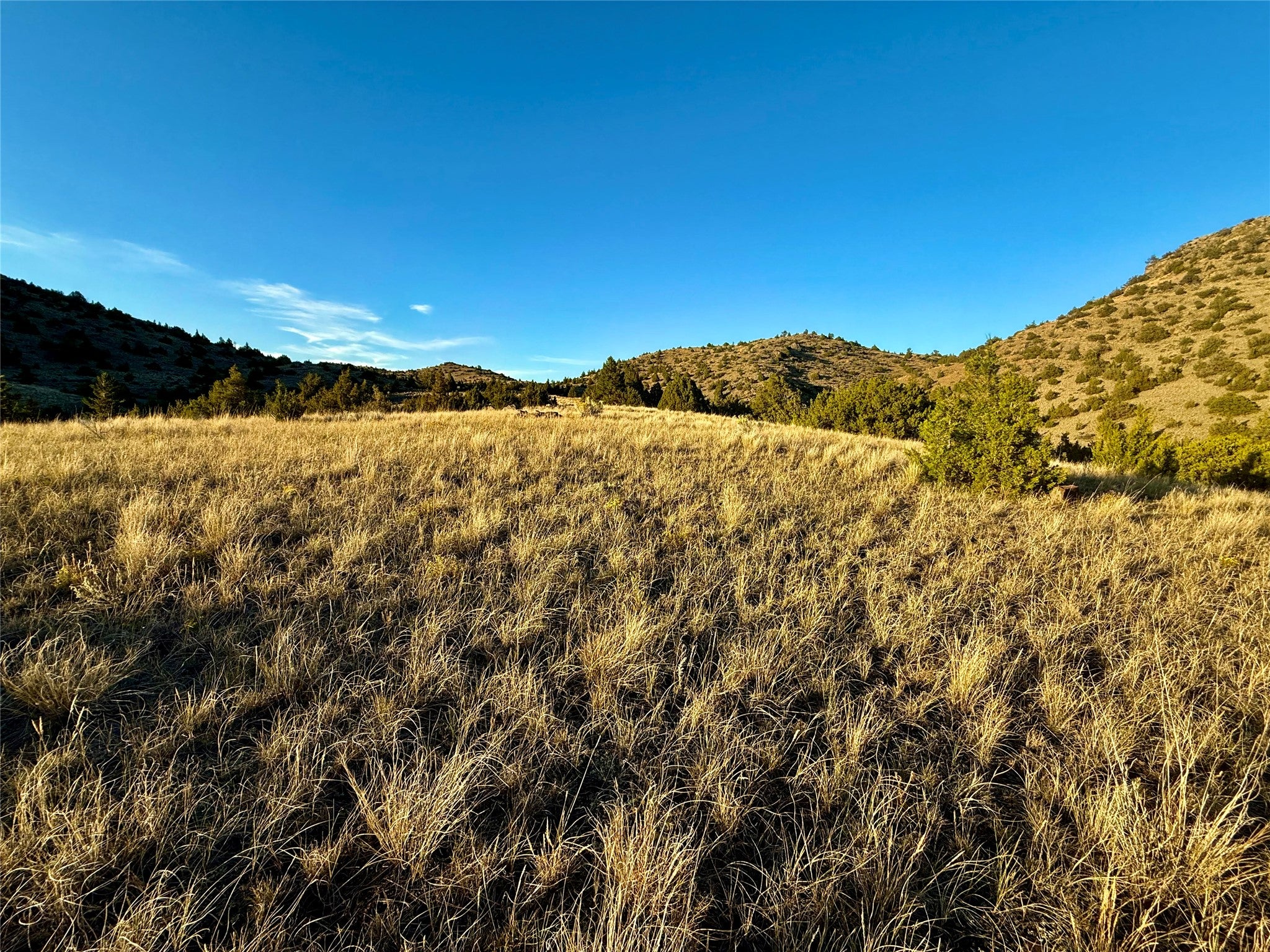 Tbd Tbd Johnny Gulch Road Toston, MT 59643 - Photo 16 of 48 Gallery Image 16