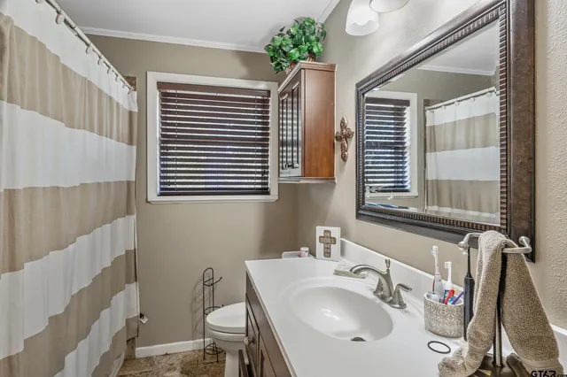 a bathroom with a sink a toilet and a mirror