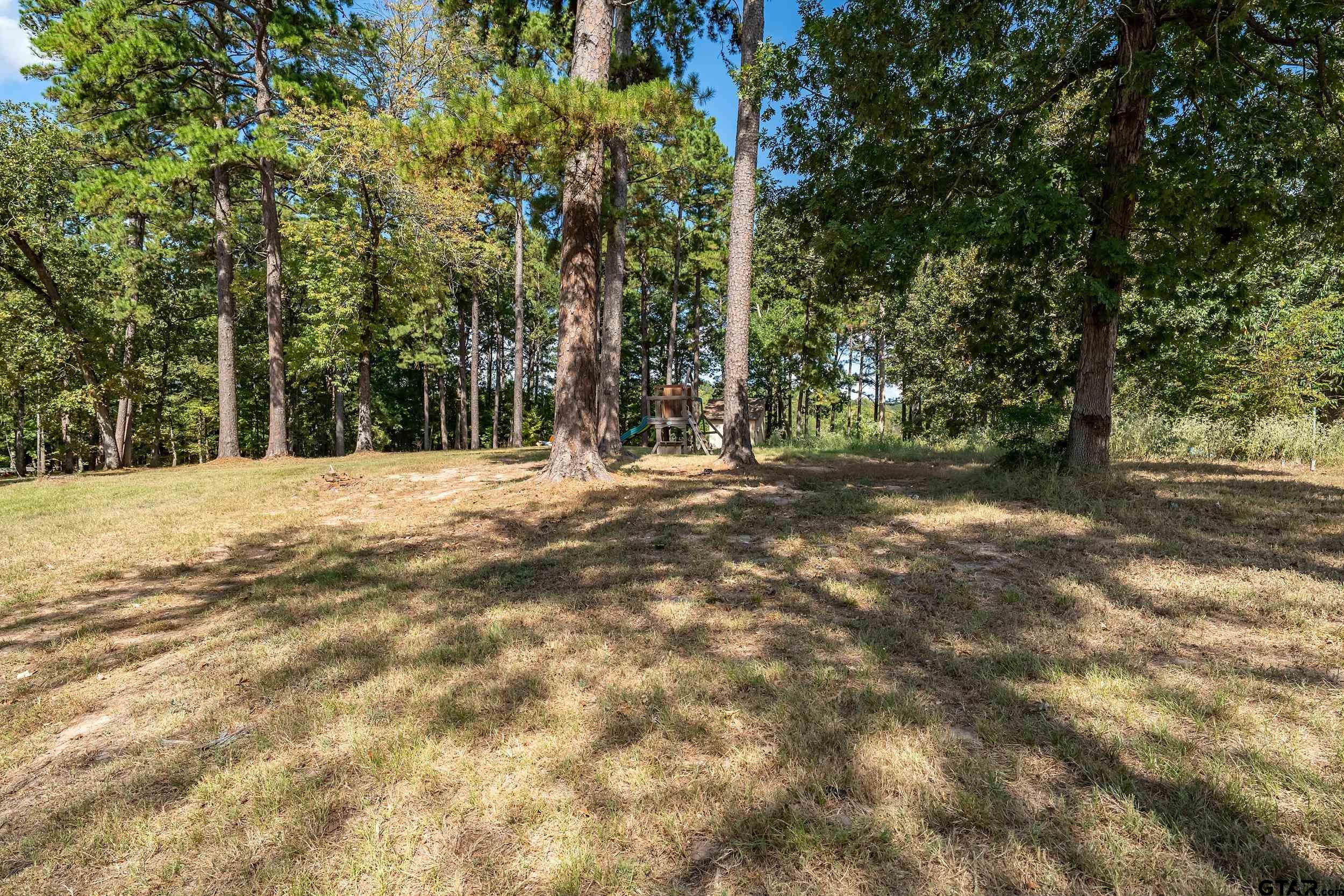 271 Nottingham Rusk, TX 75785 - Photo 23 of 23 a view of large trees with yard