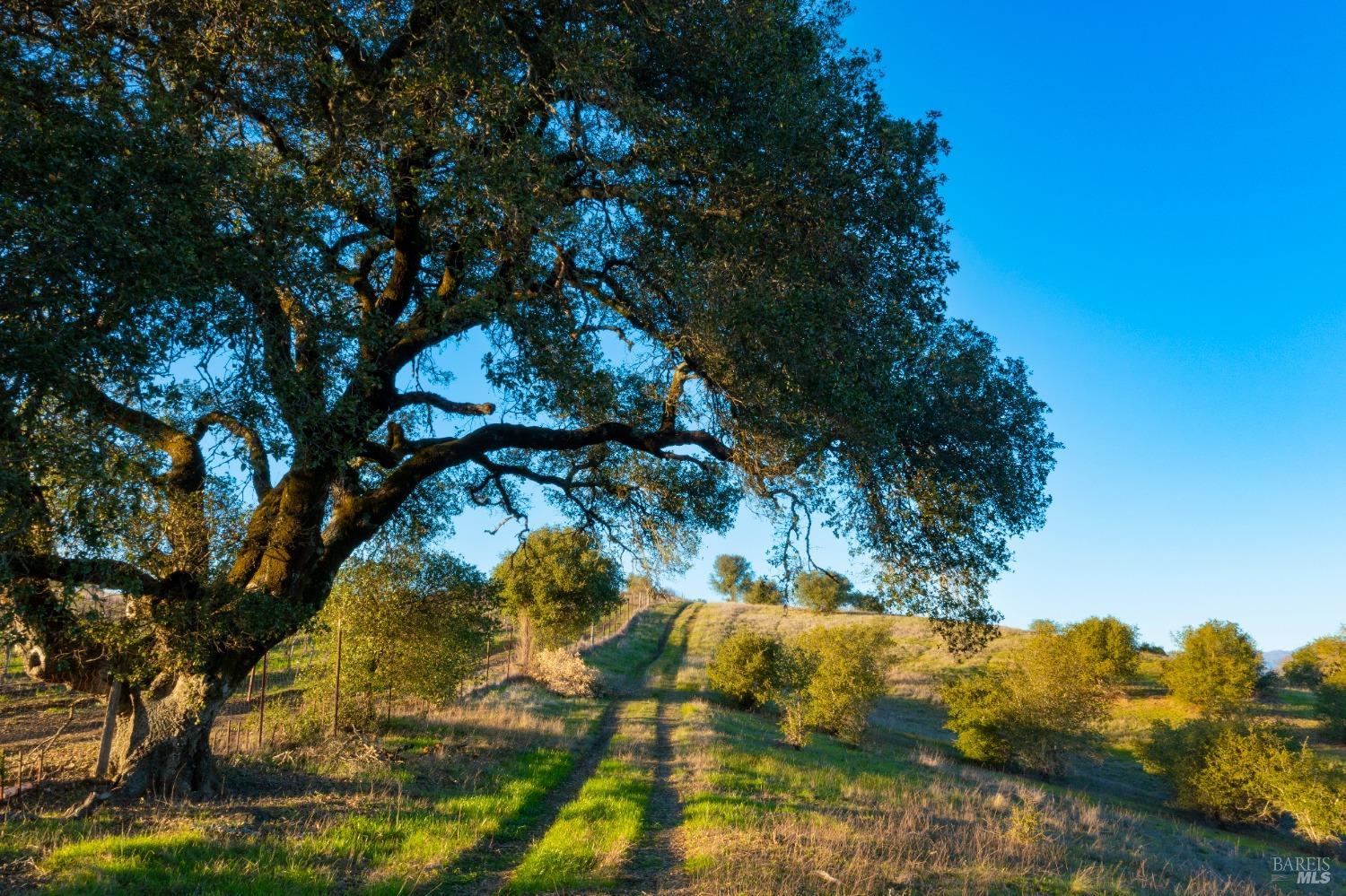 0 Brooks Road Healdsburg, CA 95448 - Photo 1 of 1 Gallery Image 1