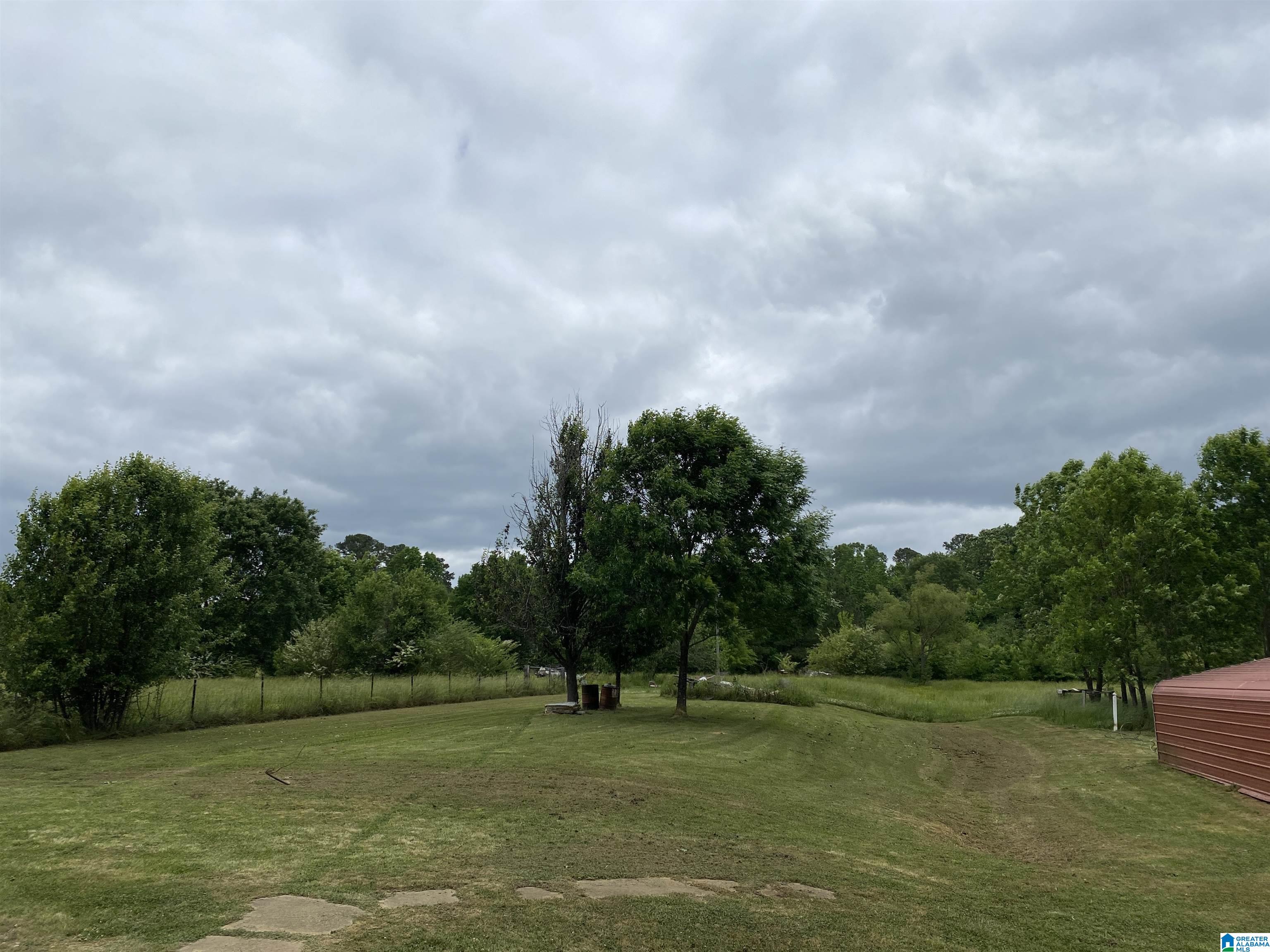 218 Nunnally Lake Road Ohatchee, AL 36271 - Photo 24 of 31