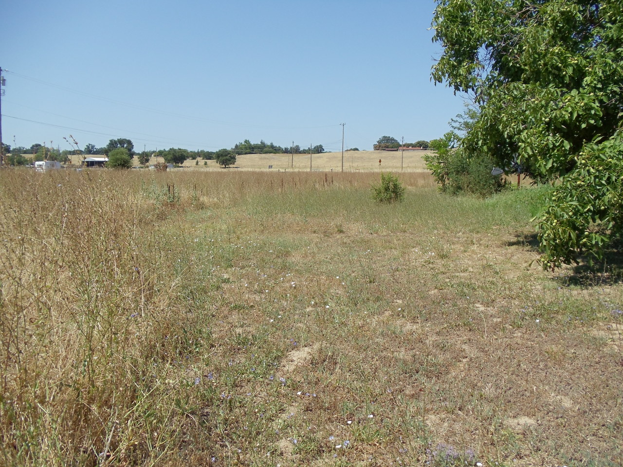 6609 Deschutes Road Anderson, CA 96007 - Photo 17 of 20 Field