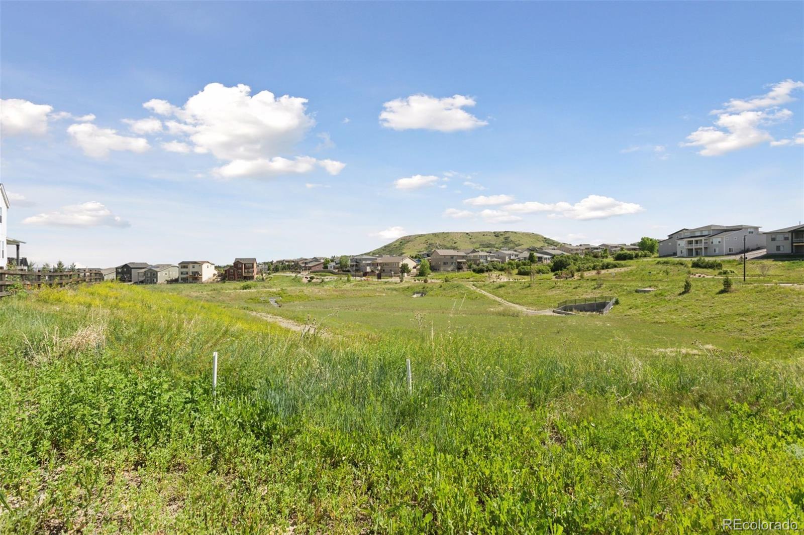 81 Simmental Loop Castle Rock, CO 80104 - Photo 33 of 40