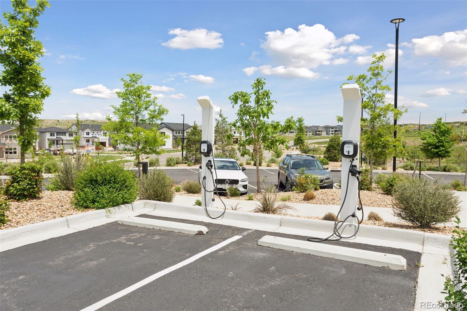 81 Simmental Loop Castle Rock, CO 80104 - Photo 39 of 40