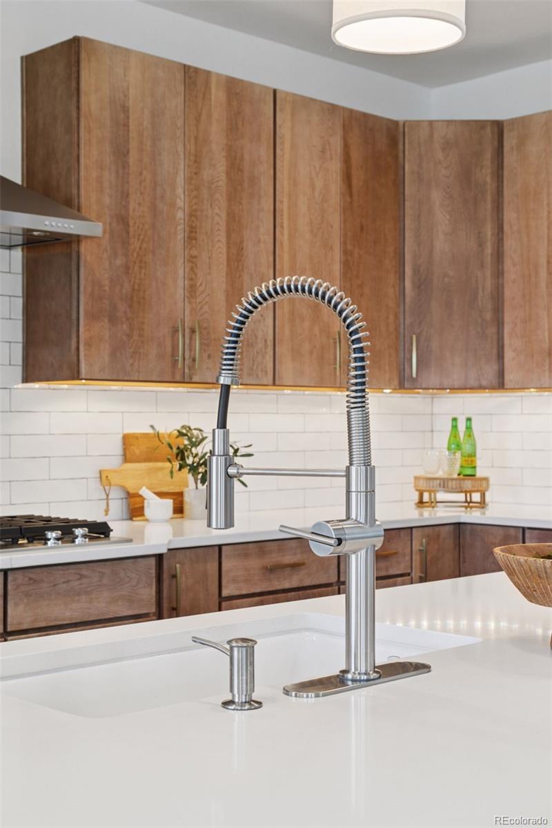 81 Simmental Loop Castle Rock, CO 80104 - Photo 8 of 40