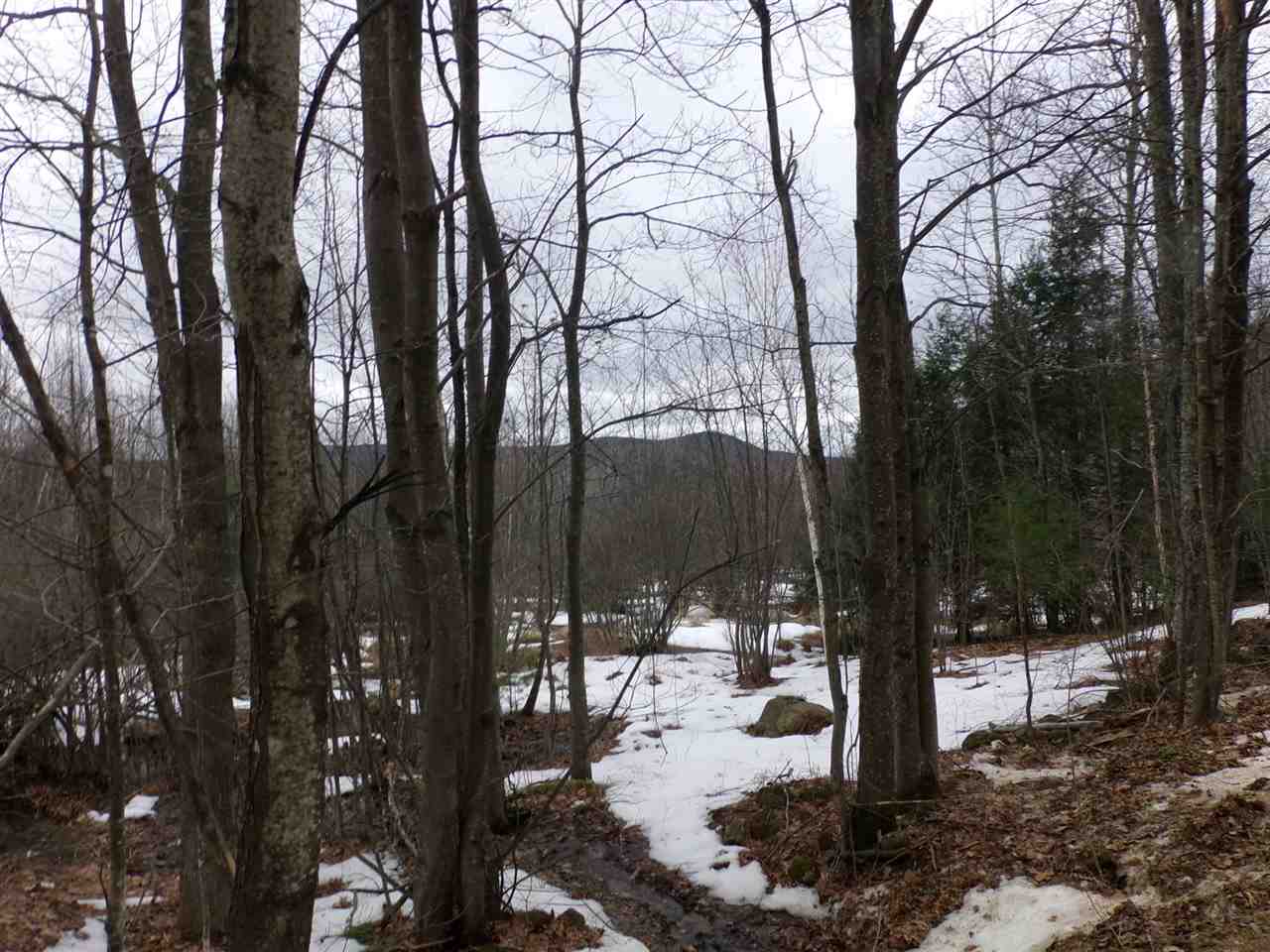 95-96 Perkins Road Gilmanton Iron Works, NH 03837 - Photo 5 of 17