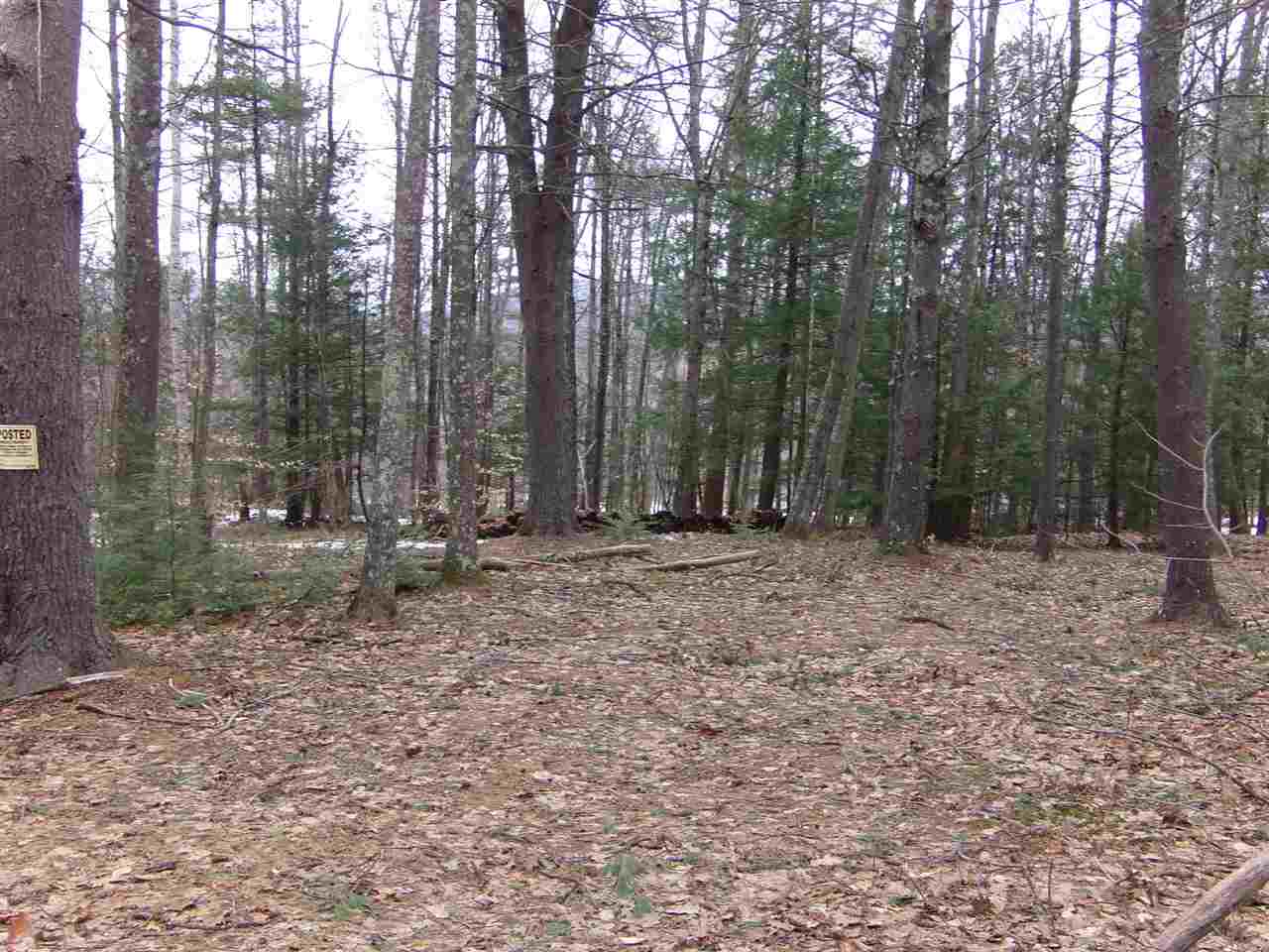 95-96 Perkins Road Gilmanton Iron Works, NH 03837 - Photo 6 of 17