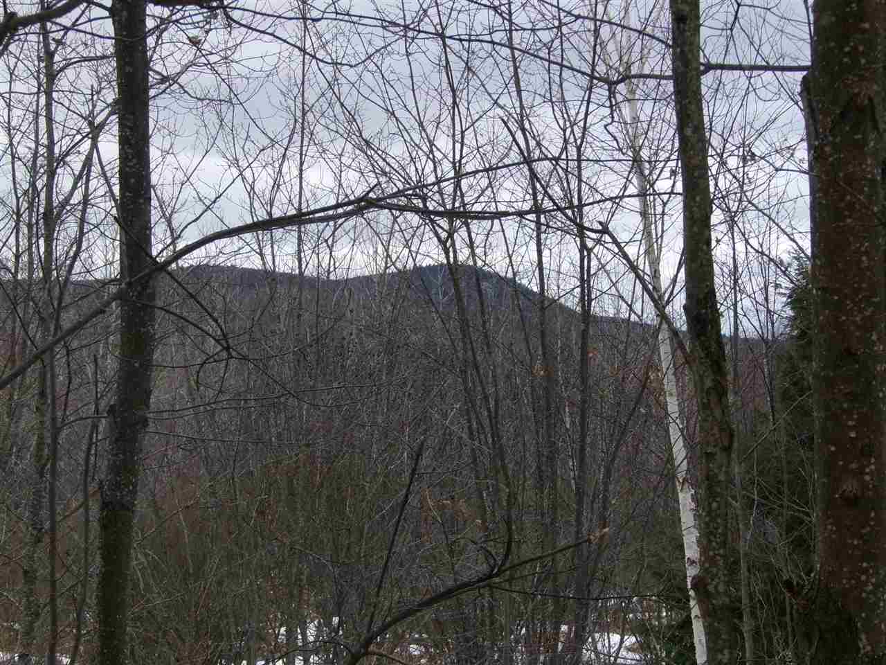 95-96 Perkins Road Gilmanton Iron Works, NH 03837 - Photo 7 of 17