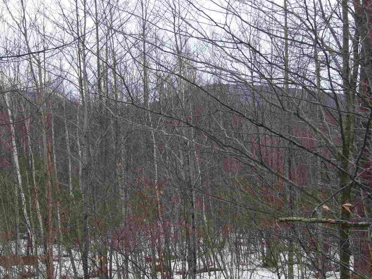 95-96 Perkins Road Gilmanton Iron Works, NH 03837 - Photo 8 of 17