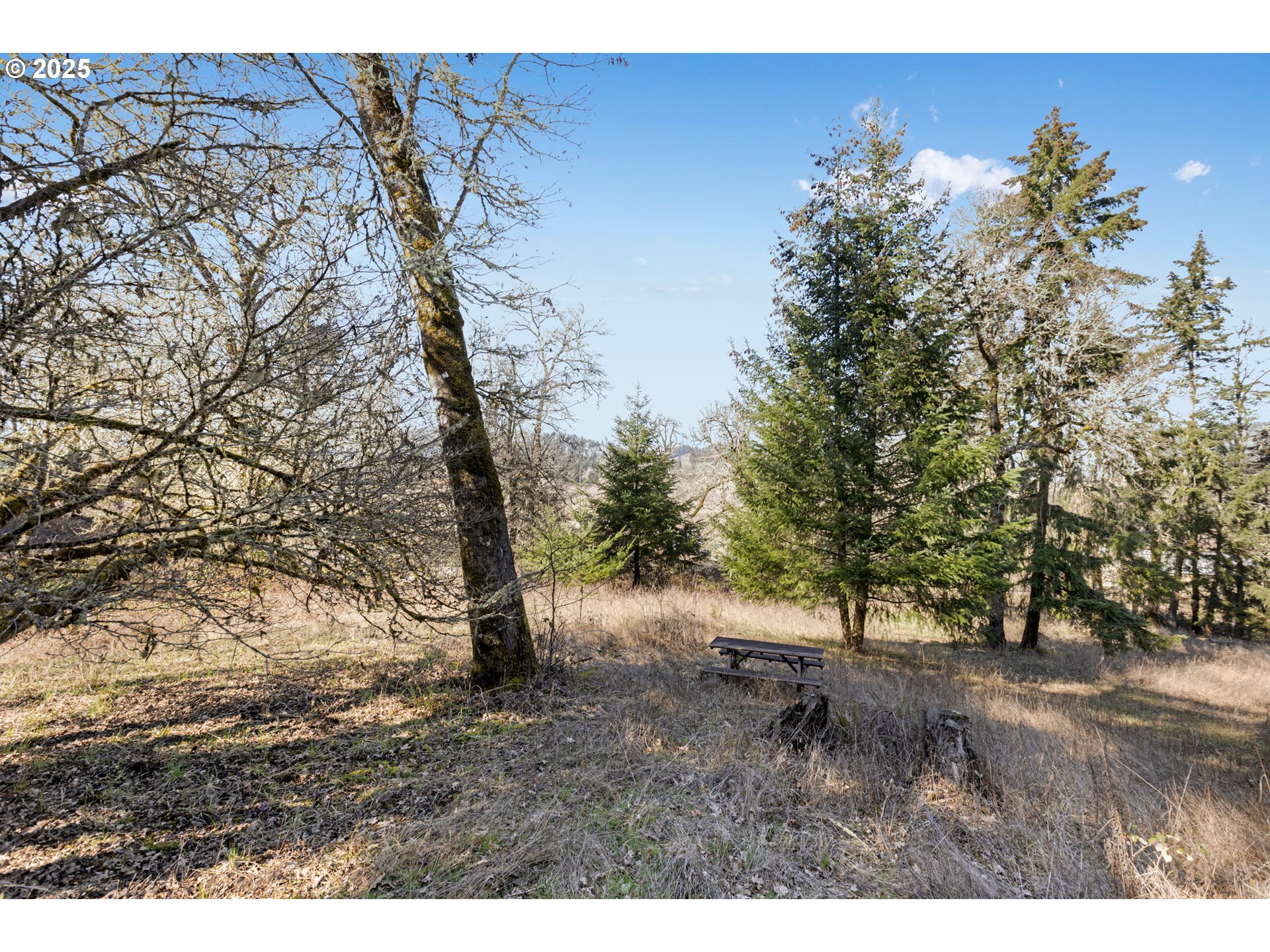 26600 Crow Road Eugene, OR 97402 - Photo 13 of 24 Gallery Image 13
