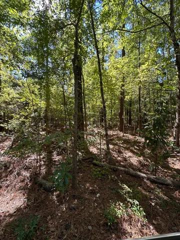 $154,000 | 126 Old Still Lane, Bonneau, SC 29431