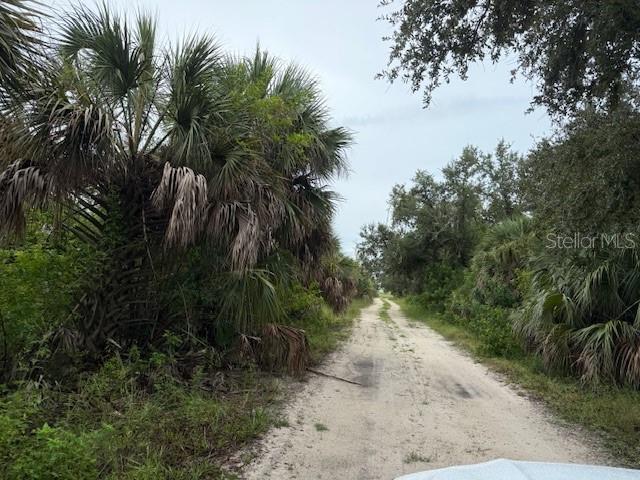 1799 East Manasota Beach Road Englewood, FL 34223 - Photo 46 of 50 a view of a dry yard with trees