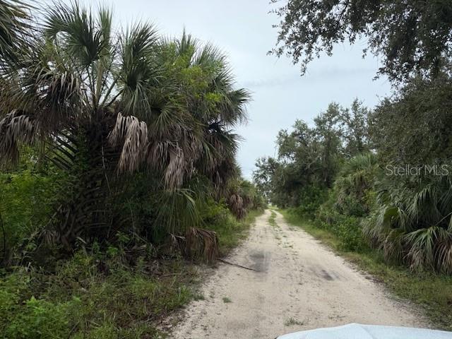 1799 East Manasota Beach Road Englewood, FL 34223 - Photo 47 of 50 a view of a yard with plants and palm trees