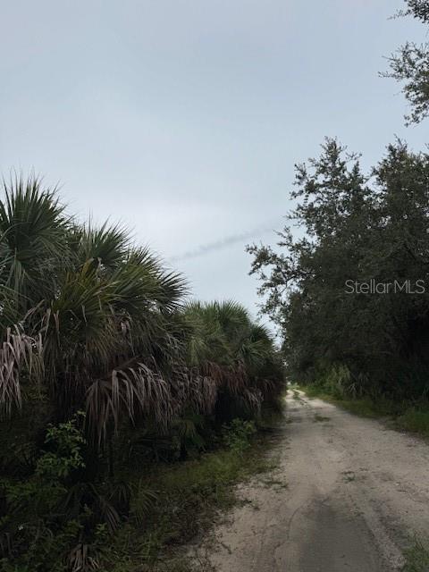 1799 East Manasota Beach Road Englewood, FL 34223 - Photo 50 of 50 a view of a yard