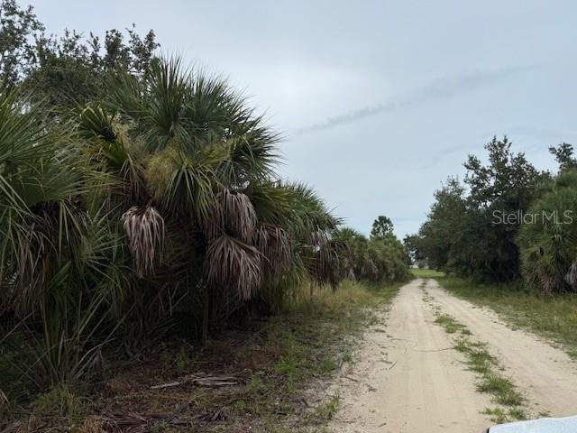1799 East Manasota Beach Road Englewood, FL 34223 - Photo 7 of 50 a view of a yard with plants and palm trees