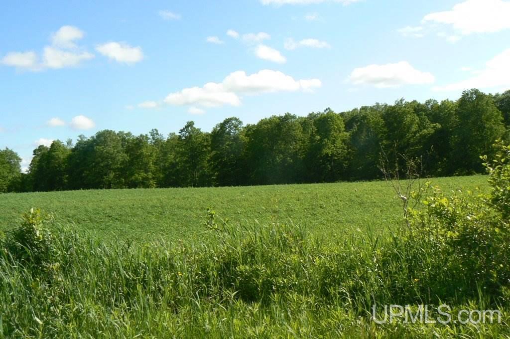 Tbd North Samuelson Road Chatham, MI 49816 - Photo 9 of 10