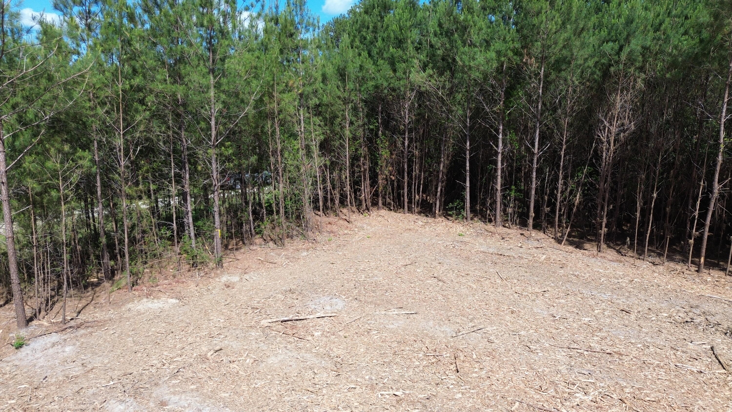 5 Highway 311 Cross, SC 29436 - Photo 11 of 11 DJI_0432