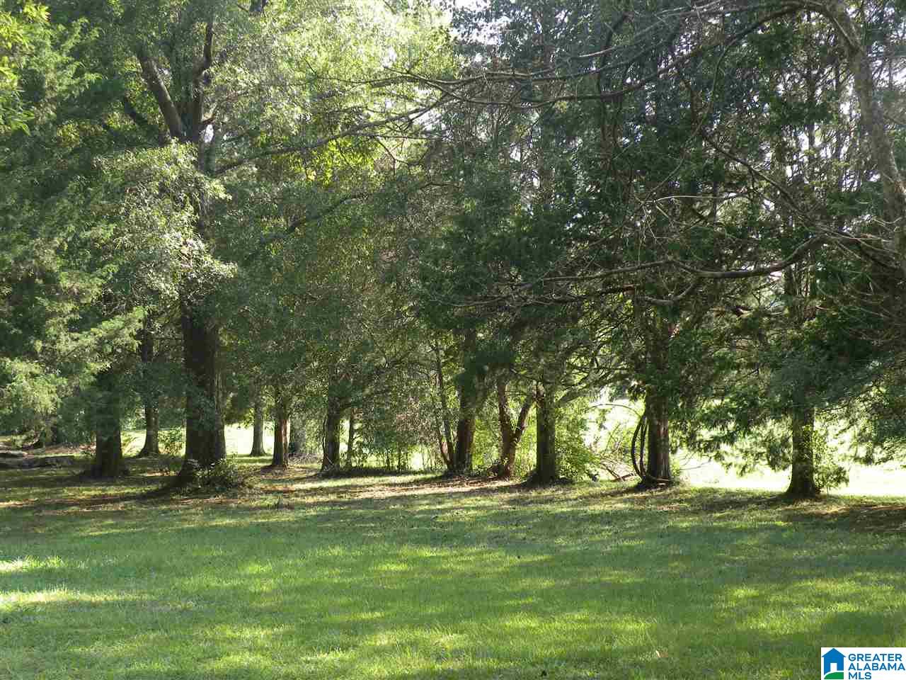 160 Strickland Lane Alpine, AL 35014 - Photo 43 of 50