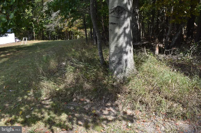 a view of outdoor space and yard