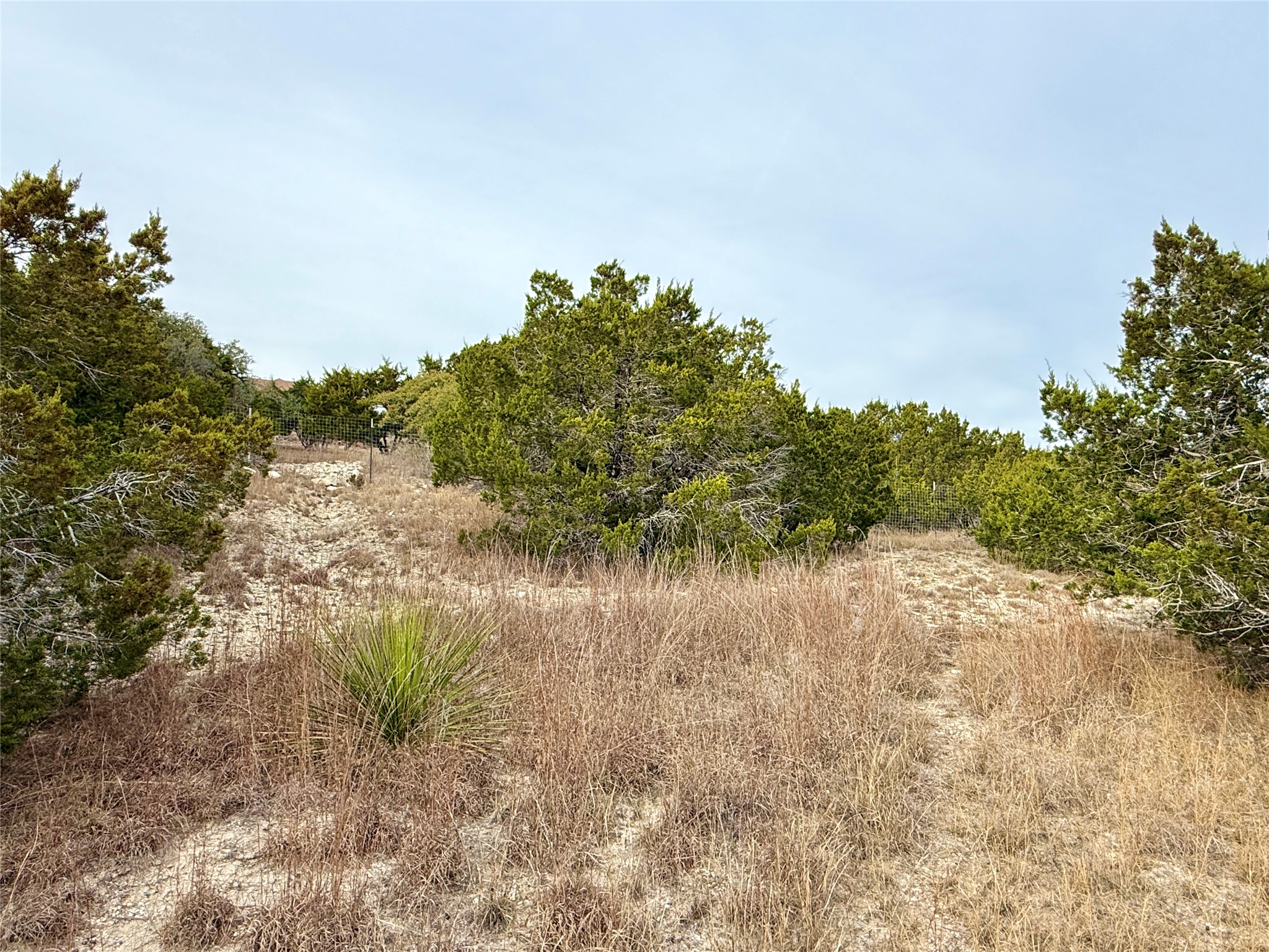 557 Abodar Trail Spring Branch, TX 78070 - Photo 5 of 22 Back of the property - Wire Fence