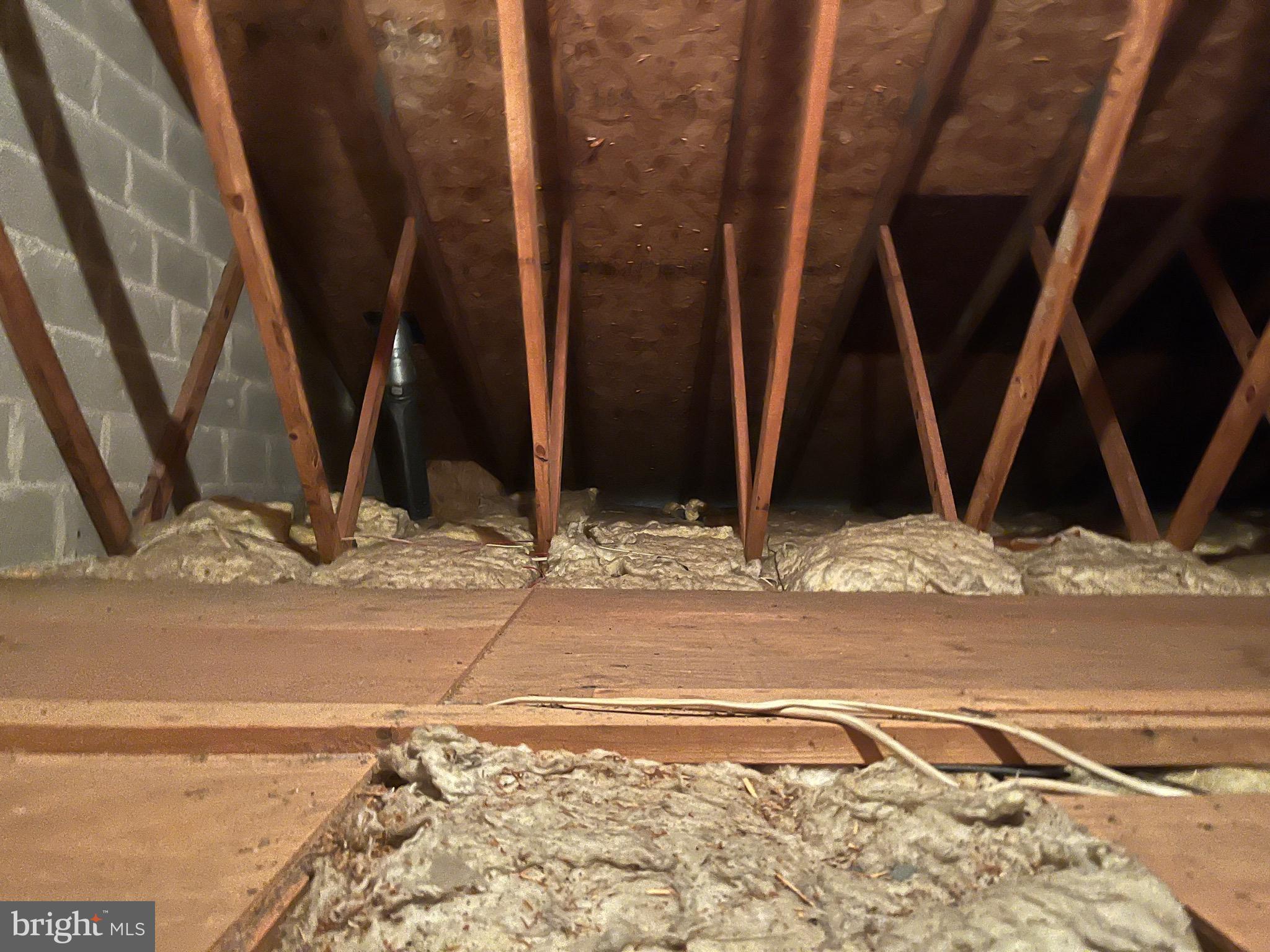 8816 Ridge Avenue, Unit 23 Philadelphia, PA 19128 - Photo 30 of 41 Attic Storage Space