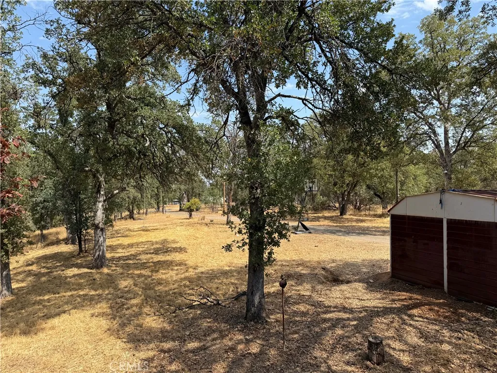 16185 Caribou Road Cottonwood, CA 96022 - Photo 18 of 21 yard