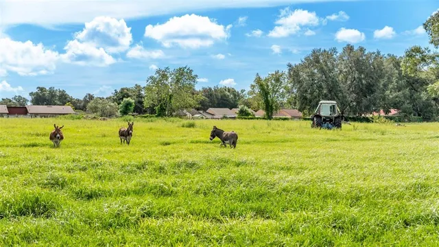 a view of a lake and a yard