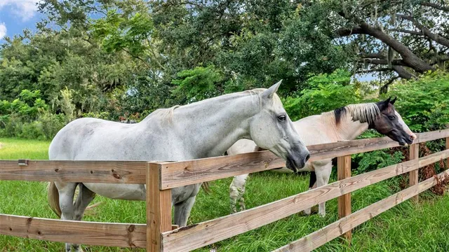 a view of a patio in backyard