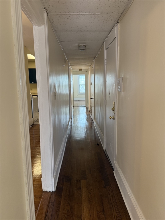 171 Dudley Street, Unit 2 Boston, MA 02119 - Photo 6 of 17