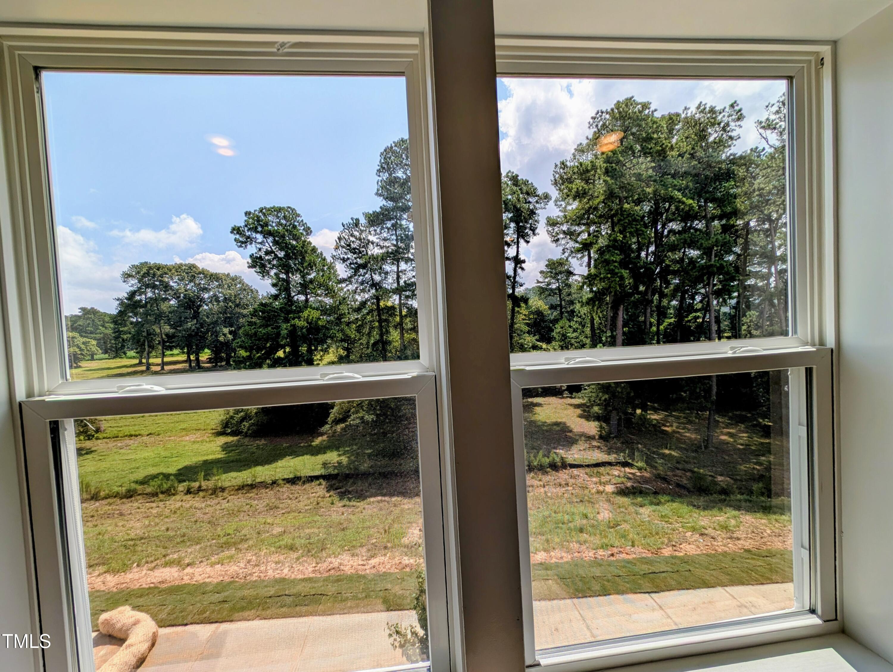 338 Cottage Hill Way Raleigh, NC 27604 - Photo 27 of 72 View from the main bedroom windows