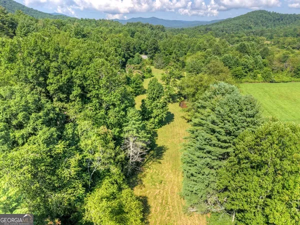 $300,000 | 0 Hwy 2 Blue Ridge, Blue Ridge, GA 30513