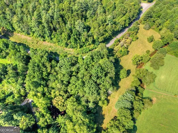 $300,000 | 0 Hwy 2 Blue Ridge, Blue Ridge, GA 30513