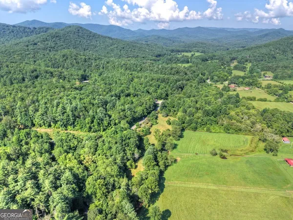 $300,000 | 0 Hwy 2 Blue Ridge, Blue Ridge, GA 30513