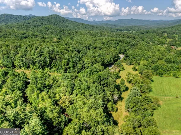$300,000 | 0 Hwy 2 Blue Ridge, Blue Ridge, GA 30513