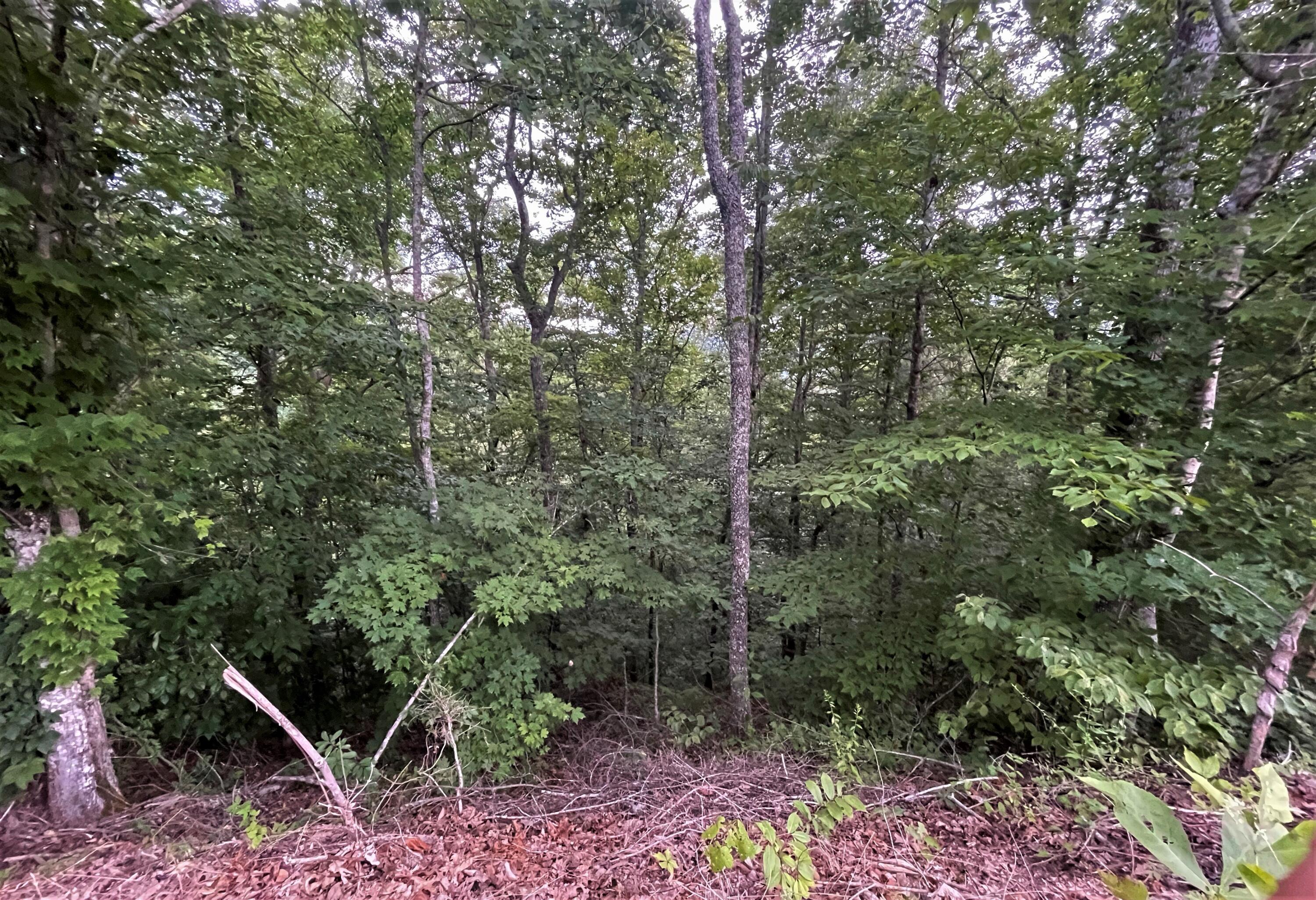Red Cedar Way Sevierville, TN 37876 - Photo 1 of 6 IMG_2952