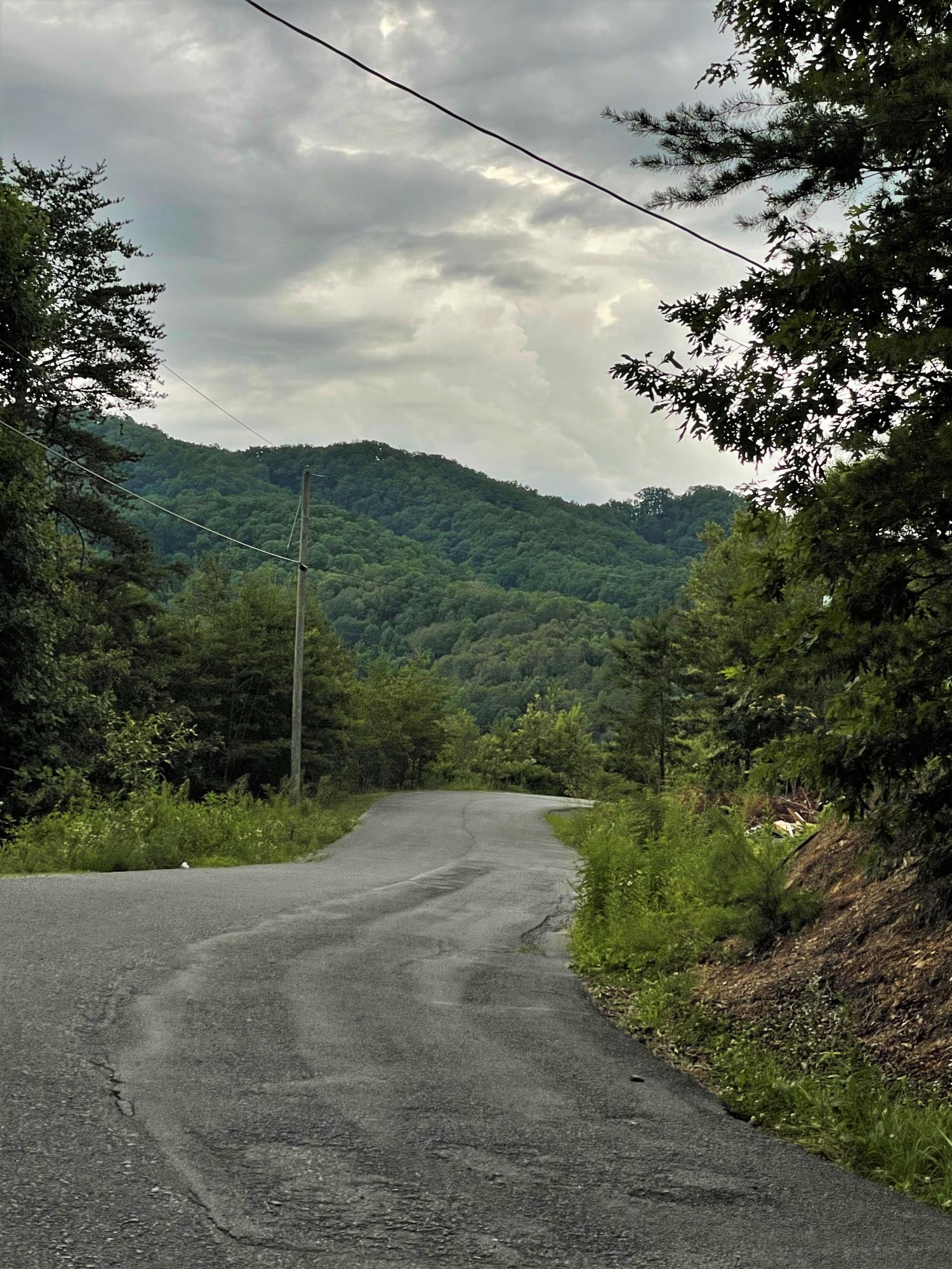 Red Cedar Way Sevierville, TN 37876 - Photo 5 of 6 IMG_2955