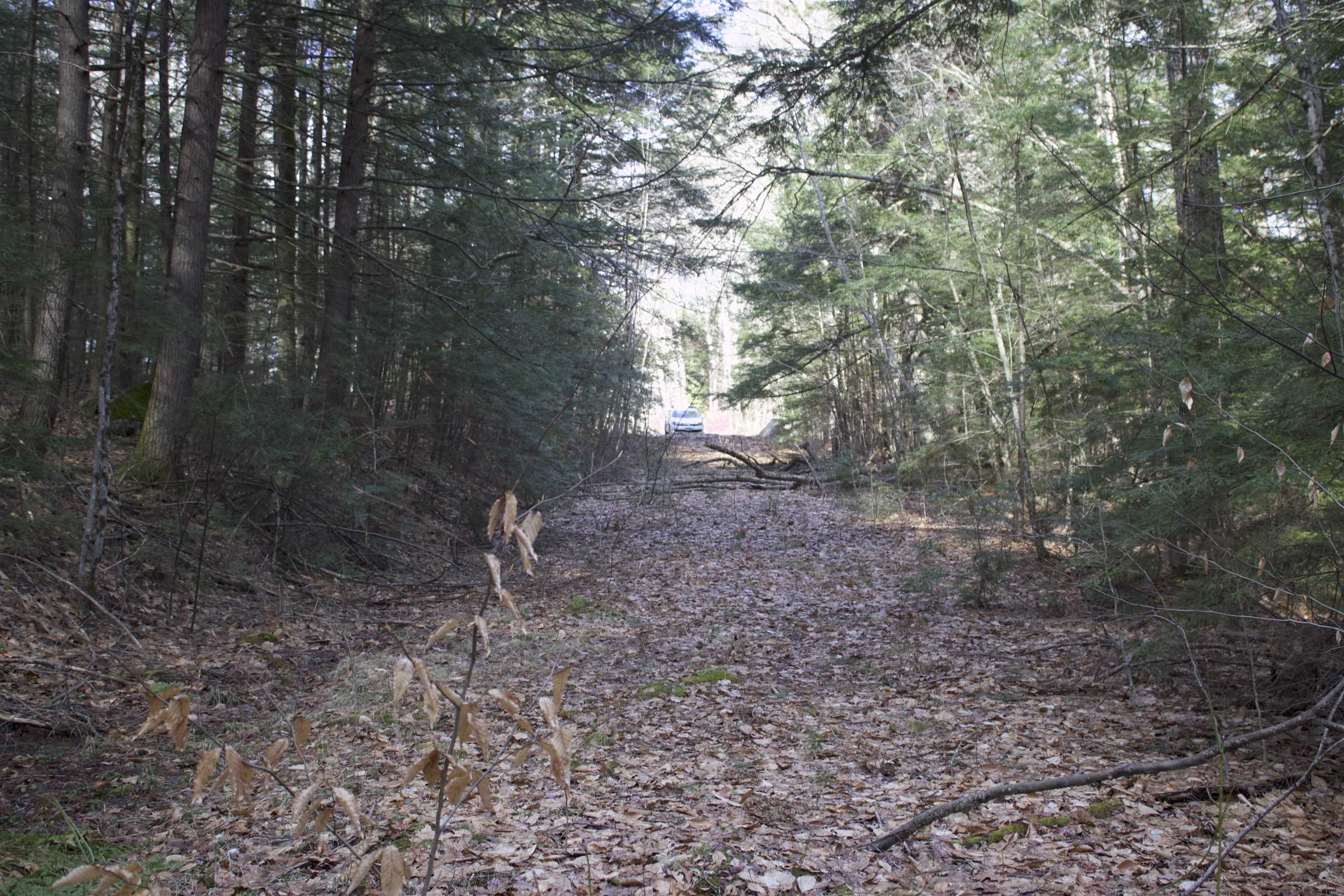 0 Whiskey Pine Road North Sutton, NH 03260 - Photo 5 of 16