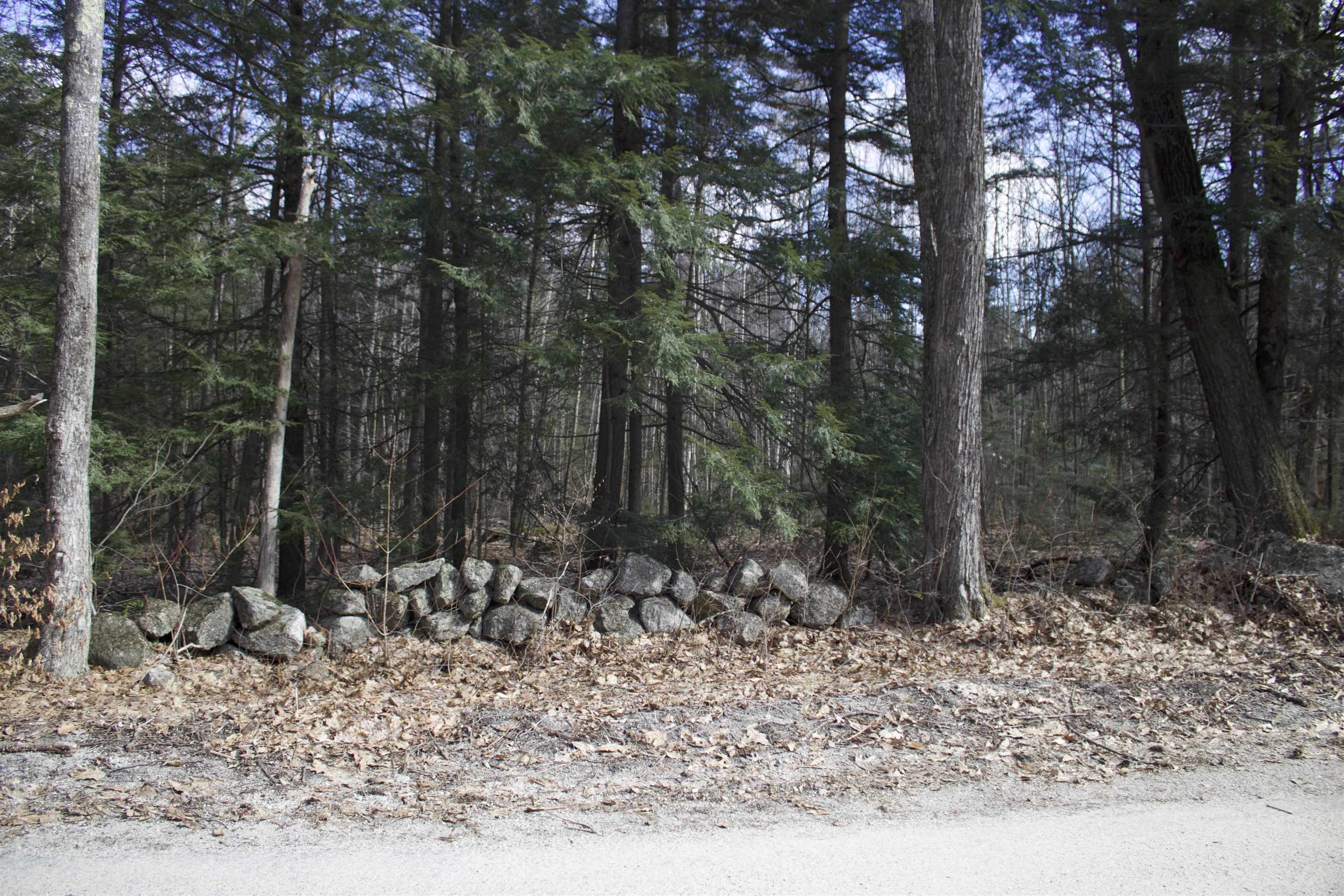 0 Whiskey Pine Road North Sutton, NH 03260 - Photo 8 of 16