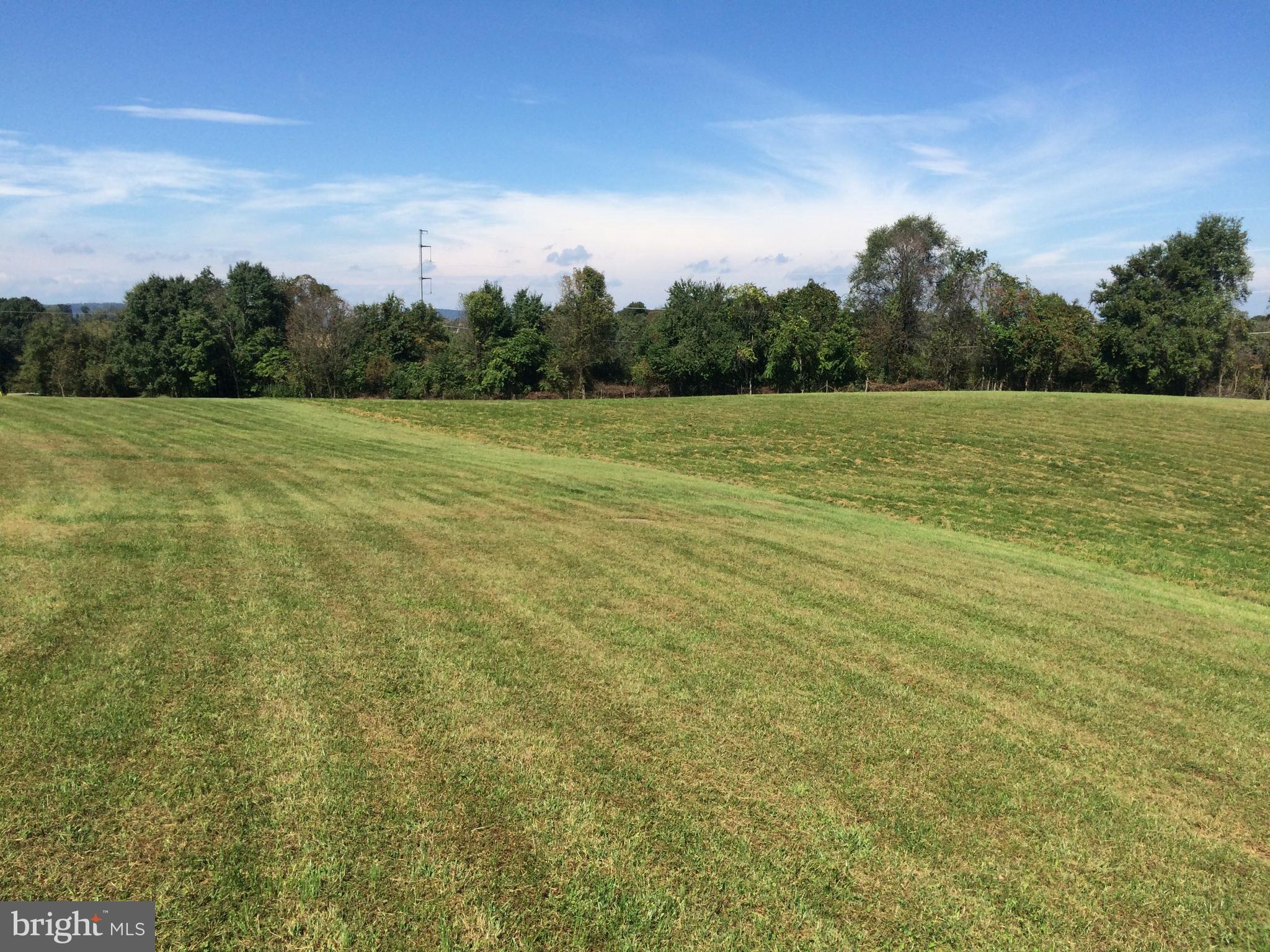 Pasture Field