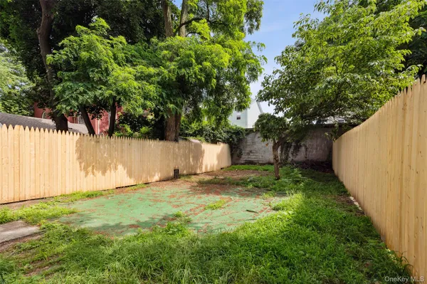 a view of a yard with plants and a large tree