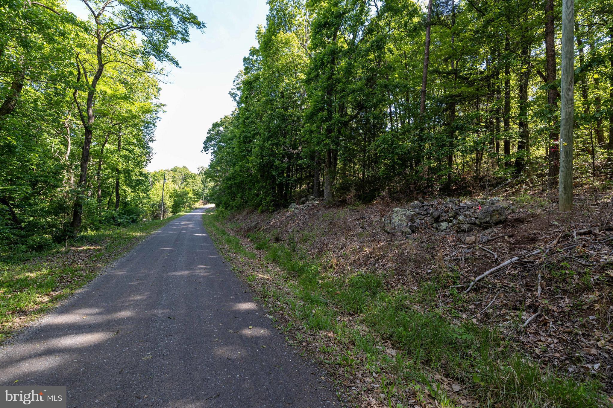 0 Cross Mountain Road Luray, VA 22835 - Photo 42 of 51