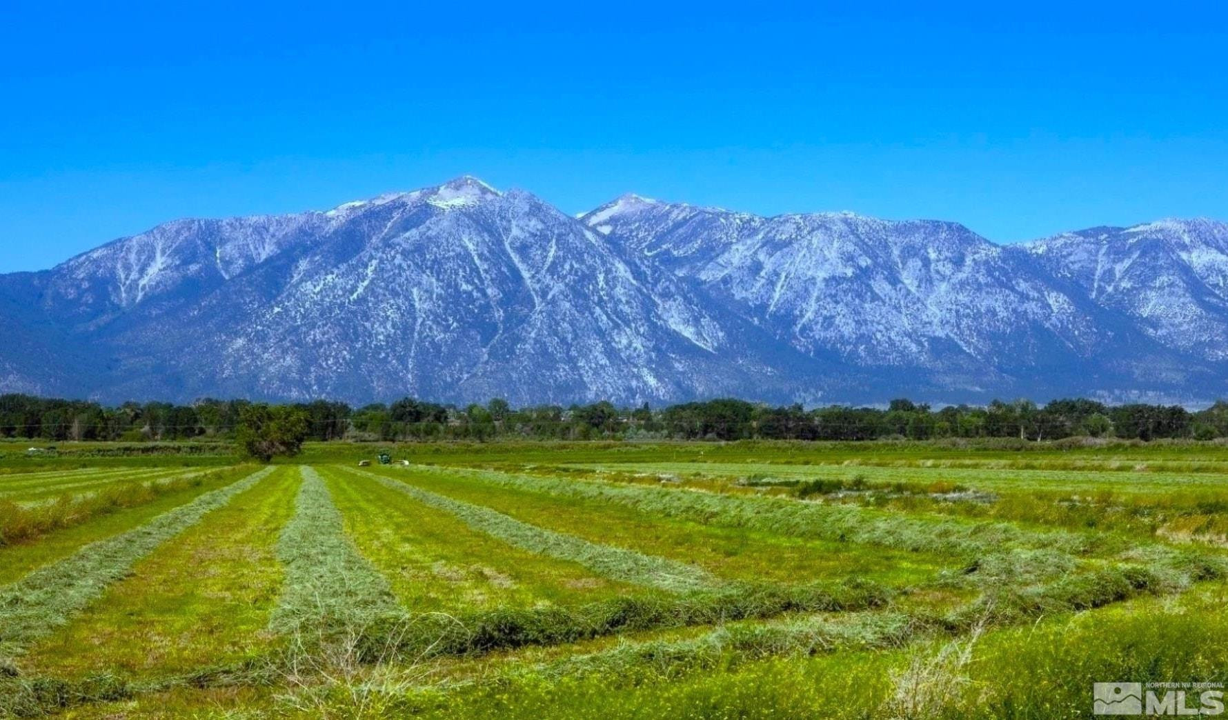 0 Pinenut Road Gardnerville, NV 89410 - Photo 11 of 12 a view of a big yard with swimming pool and outdoor space