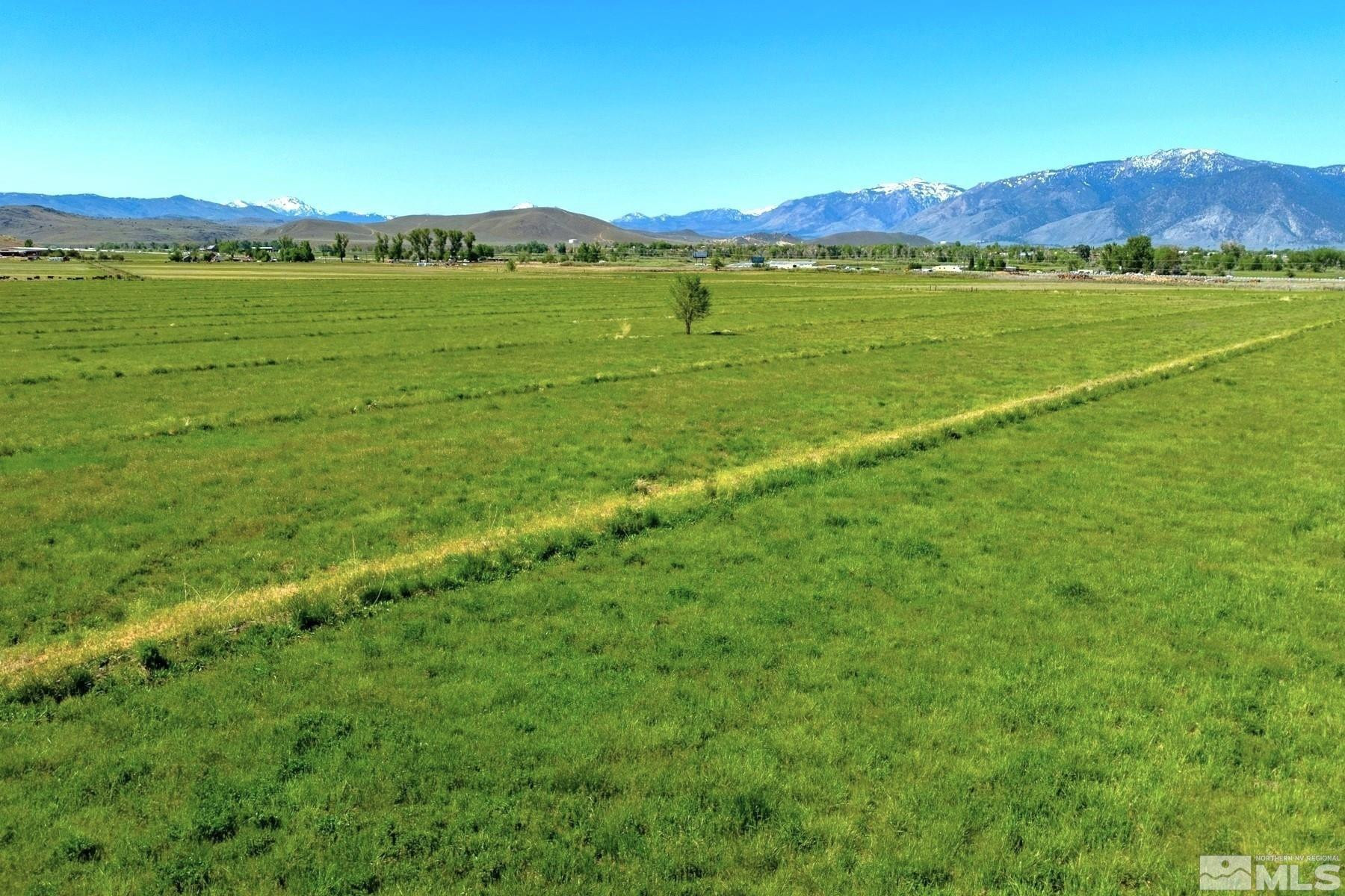 0 Pinenut Road Gardnerville, NV 89410 - Photo 12 of 12 a view of lake and mountain view