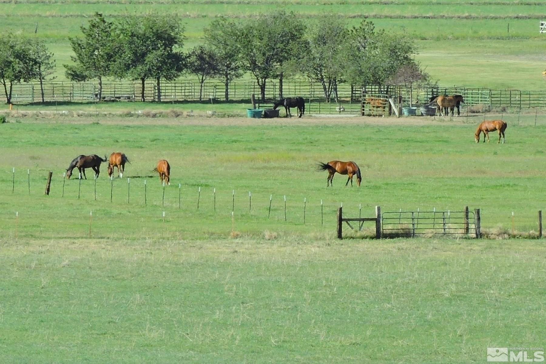 0 Pinenut Road Gardnerville, NV 89410 - Photo 4 of 12 a view of a park