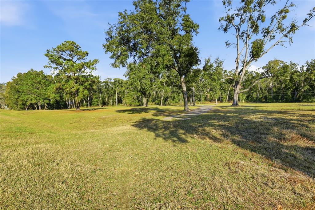 441 High Springs High Springs, FL 32643 - Photo 8 of 9 a view of a green field with lots of bushes