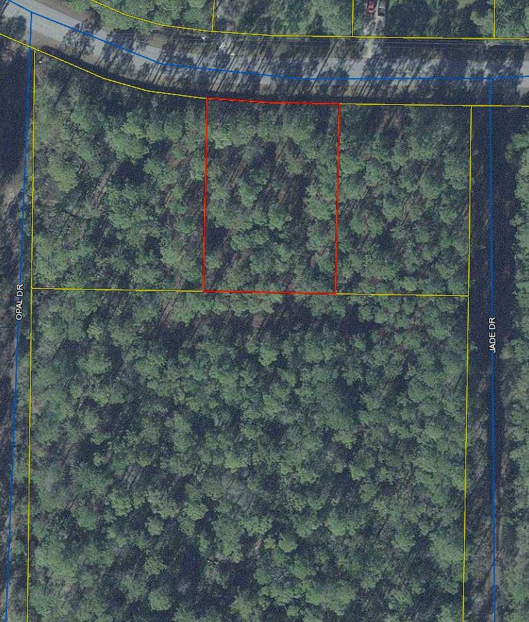Tbd Mallet Bayou Road Freeport, FL 32439 - Photo 1 of 1 a view of a dry yard