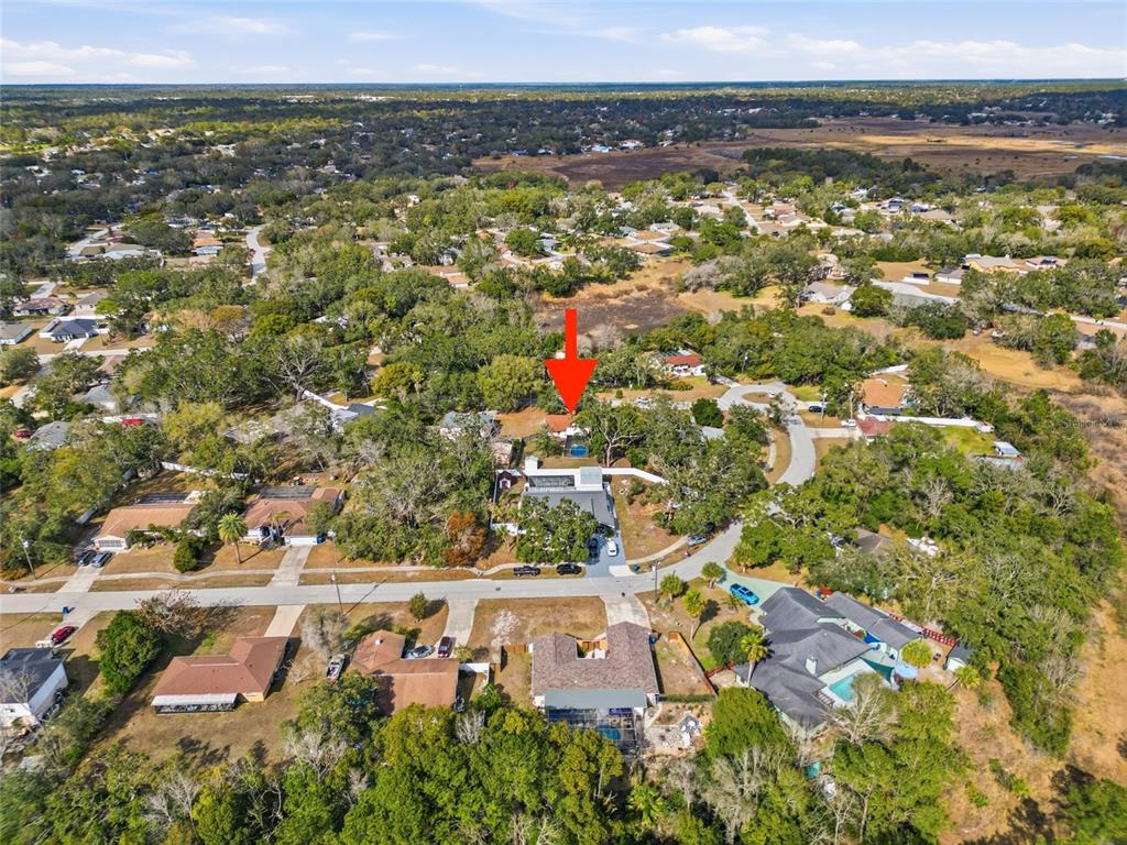 8398 Begonia Street Spring Hill, FL 34608 - Photo 31 of 32 a view of city and swimming pool